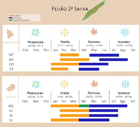 Este infográfico detalha o calendário agrícola para o cultivo do feijão de segunda safra (safrinha) nas regiões Centro-Oeste