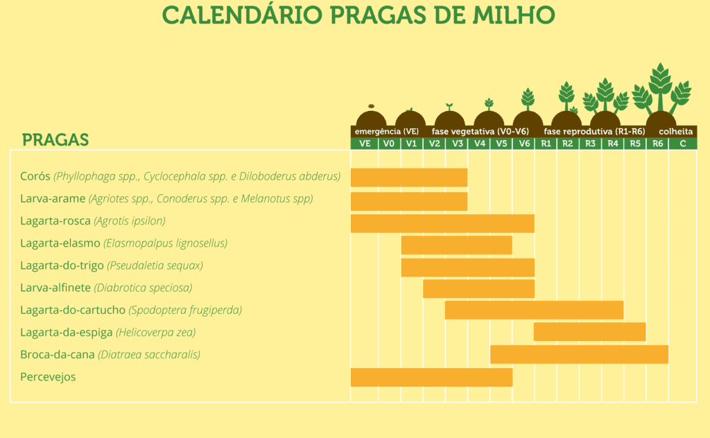 Calendário de Pragas do Milho: Épocas de Controle infográfico informativo intitulado ‘Calendário Pragas de Milho’. Ele apresenta um gráfico de barras horizontais