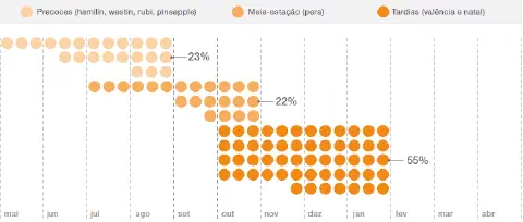 gráfico de linha do tempo, no estilo de um infográfico, que ilustra o calendário de safra para diferentes v