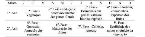 uma tabela que detalha o calendário fenológico de uma cultura com ciclo de produção bienal, distribuído ao lon