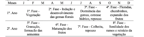 uma tabela que detalha o calendário fenológico de uma cultura com ciclo de produção bienal, distribuído ao lon