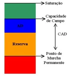 diagrama esquemático que ilustra os diferentes níveis de umidade e a disponibilidade de água no solo para as pl