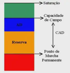 diagrama esquemático que ilustra os diferentes níveis de umidade e a disponibilidade de água no solo para as pl