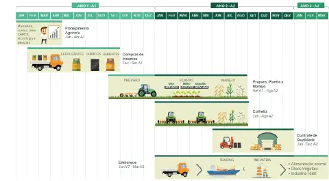 infográfico no formato de um cronograma ou gráfico de Gantt que detalha o ciclo completo da produção agrícola a