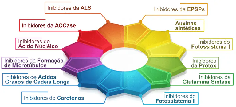infográfico em formato circular, semelhante a uma roda de cores, que classifica os diferentes mecanismos de