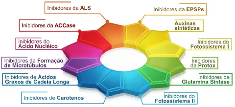 infográfico em formato circular, semelhante a uma roda de cores, que classifica os diferentes mecanismos de