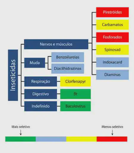 infográfico em formato de fluxograma que classifica diferentes grupos de inseticidas com base em seus m