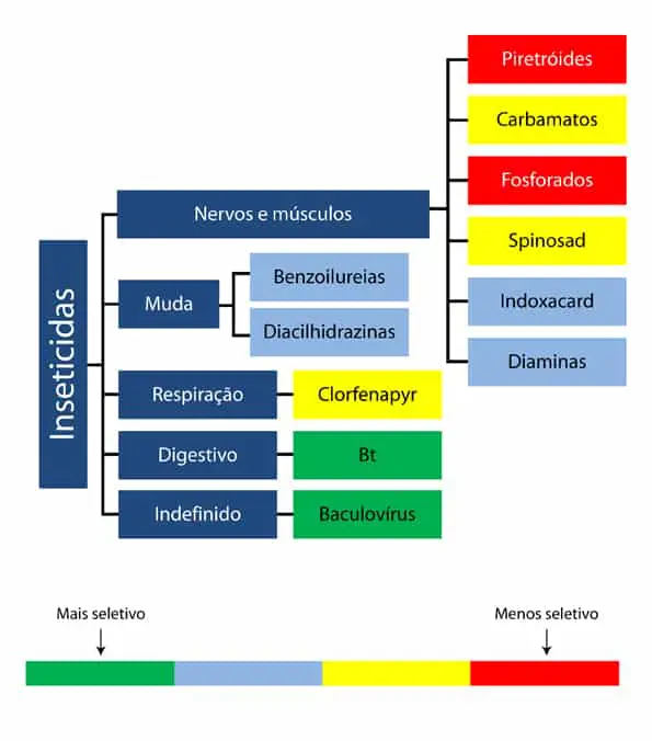 Classificação de Inseticidas: Modo de Ação e Seletividade infográfico em formato de fluxograma que classifica diferentes grupos de inseticidas com base em seu mo