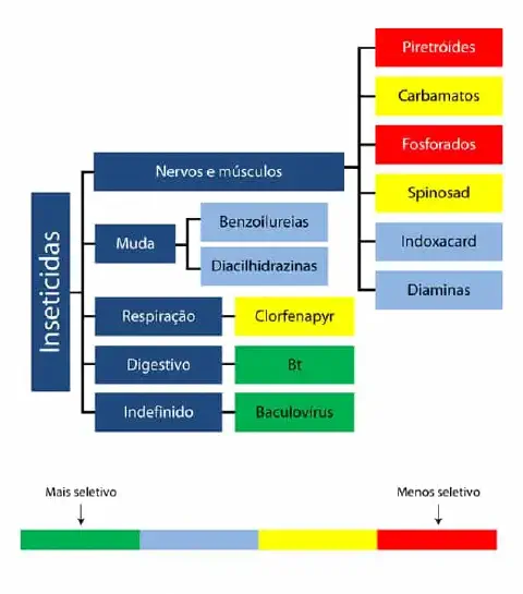 infográfico em formato de fluxograma que classifica diferentes grupos de inseticidas com base em seu mo