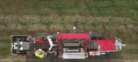 A imagem oferece uma visão aérea detalhada de uma operação de colheita moderna em um pomar de maçãs. No centro da cena está u