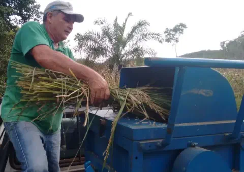 produtor rural em plena atividade de pós-colheita. Um homem de meia-idade, vestindo roupas de trabalho si