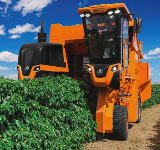 uma colheitadeira de café da marca Jacto, um equipamento agrícola de grande porte, em plena operação numa lavo