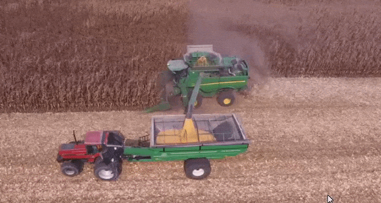 A imagem animada (GIF) exibe uma vista aérea de uma operação de colheita de milho em larga escala. Uma colheitadeira verde, p