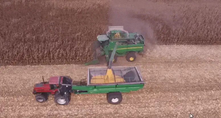 A imagem animada (GIF) exibe uma vista aérea de uma operação de colheita de milho em larga escala. Uma colheitadeira verde, p