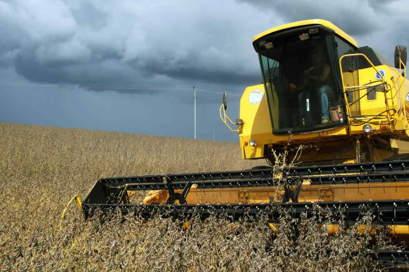 cena impactante da colheita de soja em uma vasta lavoura. Em primeiro plano, uma grande colheitadeira am