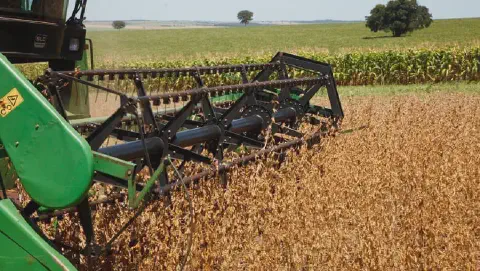 A imagem captura em close-up a operação de uma colheitadeira verde em uma vasta lavoura de soja. O foco está na plataforma de