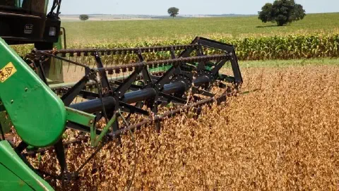 A imagem captura em close-up a operação de uma colheitadeira verde em uma vasta lavoura de soja. O foco está na plataforma de