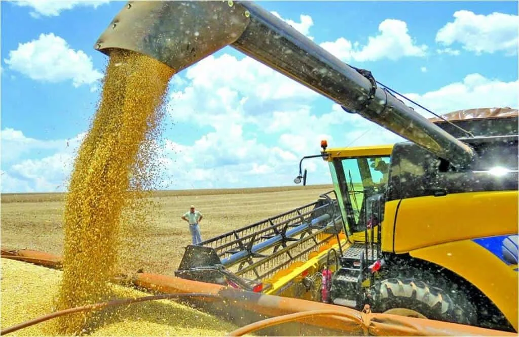 momento dinâmico e crucial da colheita agrícola em grande escala. Em primeiro plano, uma colheitadeira mo