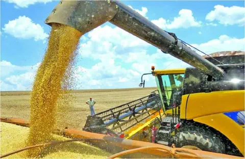 momento dinâmico e crucial da colheita agrícola em grande escala. Em primeiro plano, uma colheitadeira mo