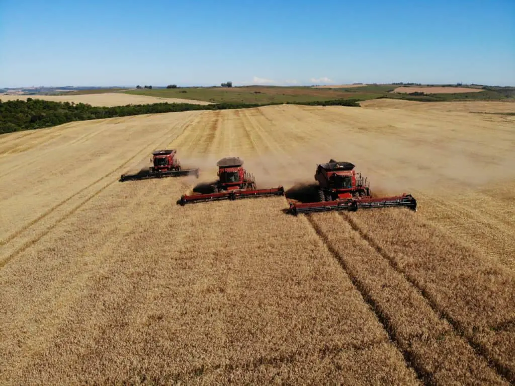 A imagem aérea captura um momento de alta produtividade no campo, exibindo três colheitadeiras vermelhas operando em formação