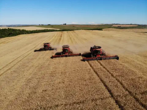 A imagem aérea captura um momento de alta produtividade no campo, exibindo três colheitadeiras vermelhas operando em formação