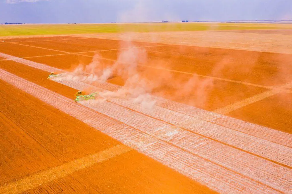 Colheita Mecanizada: Eficiência na Gestão da Lavoura Vista aérea de uma operação de colheita em larga escala em uma vasta planície agrícola. Três colheitadeiras verdes trabalham