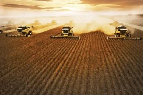 operação de colheita em larga escala, provavelmente de soja ou trigo, ao amanhecer ou entardecer. Várias