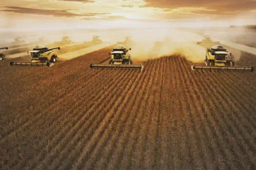 Colheita Mecanizada: Maximizando a Produtividade Agrícola operação de colheita em larga escala, provavelmente de soja ou trigo, ao amanhecer ou entardecer. Várias