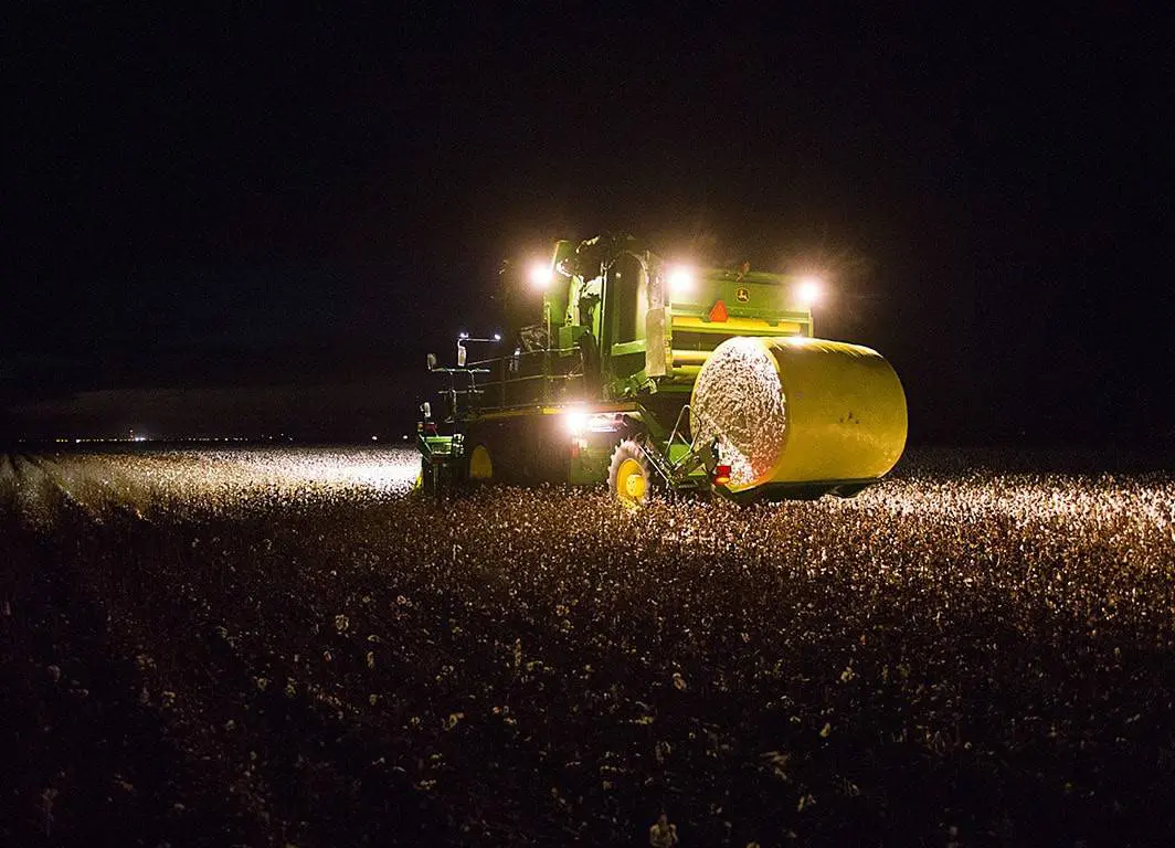 operação de colheita de algodão em grande escala durante a noite. No centro da cena, uma colheitadeira m