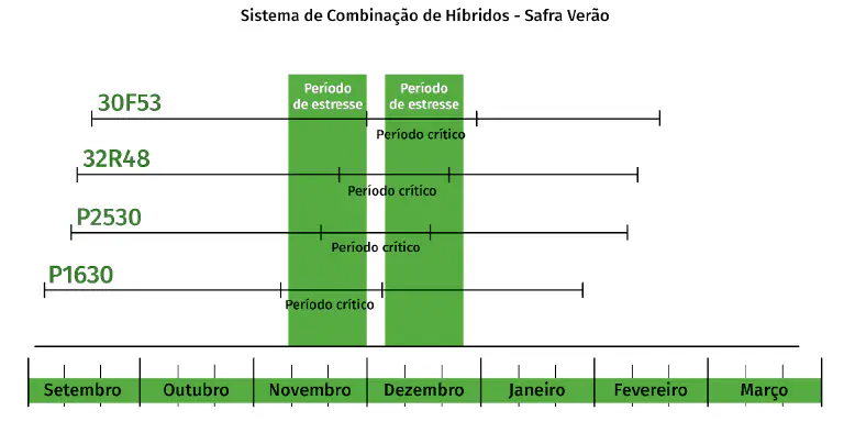 Combinação de Híbridos na Safra Verão: Como Funciona gráfico do tipo Gantt intitulado 'Sistema de Combinação de Híbridos - Safra Verão'. Ele ilustra uma estraté
