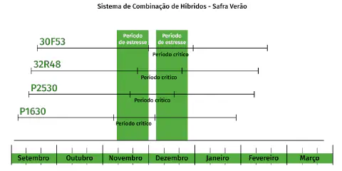 gráfico do tipo Gantt intitulado 'Sistema de Combinação de Híbridos - Safra Verão'. Ele ilustra uma estraté