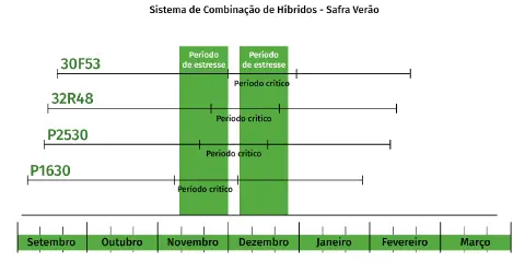 gráfico do tipo Gantt intitulado 'Sistema de Combinação de Híbridos - Safra Verão'. Ele ilustra uma estraté