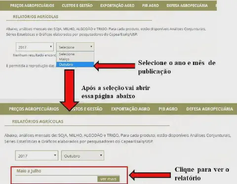 tutorial visual que demonstra, em duas etapas, como acessar relatórios agrícolas em um portal online. Na primei