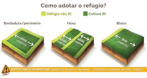 Este infográfico ilustra de forma clara e didática como implementar áreas de refúgio agrícola em lavouras com tecnologia Bt.