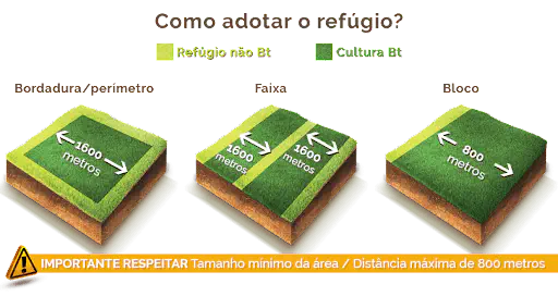 Como Adotar o Refúgio Agrícola em Culturas Bt: Guia Visual Este infográfico ilustra de forma clara e didática como implementar áreas de refúgio agrícola em lavouras com tecnologia Bt.