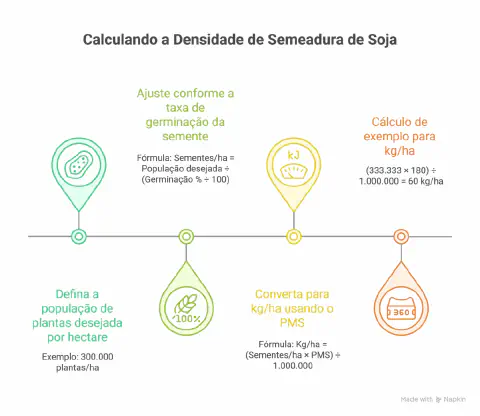 infográfico educacional que detalha o processo de cálculo da densidade de semeadura de soja. Utilizando um form