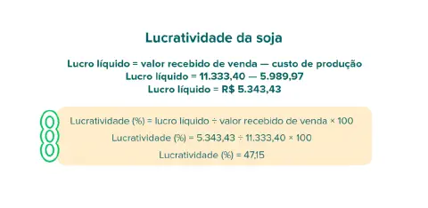 infográfico educacional que demonstra como calcular a lucratividade da soja. Com um design limpo e fundo branco