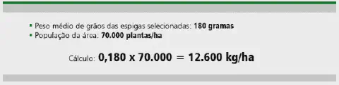 exemplo prático de como realizar o cálculo de estimativa de produtividade de uma lavoura, provavelmente de