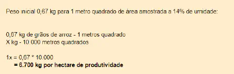 exemplo prático de como calcular a produtividade de uma lavoura de arroz por hectare. O cálculo parte de um