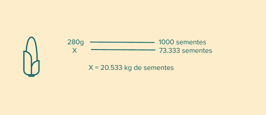 Como Calcular a Quantidade de Sementes por Hectare infográfico minimalista que demonstra um cálculo agrícola essencial: a determinação da quantidade de se