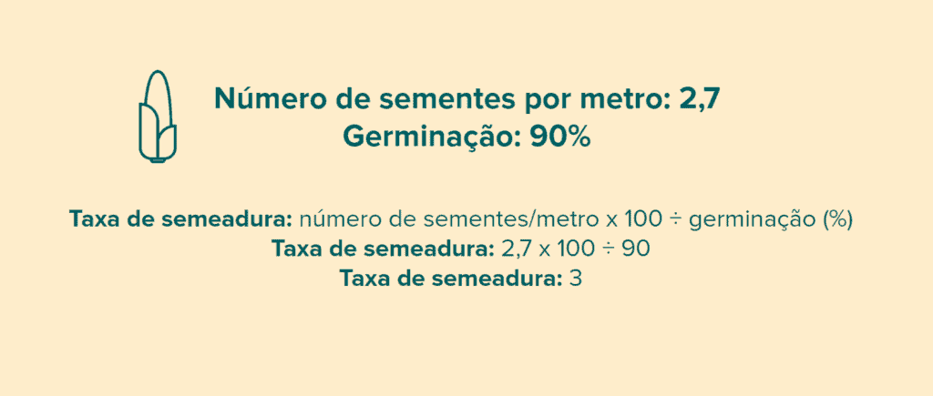 Como Calcular a Taxa de Semeadura: Guia Prático e Rápido infográfico educacional que demonstra de forma clara e concisa como calcular a taxa de semeadura, um parâmetro
