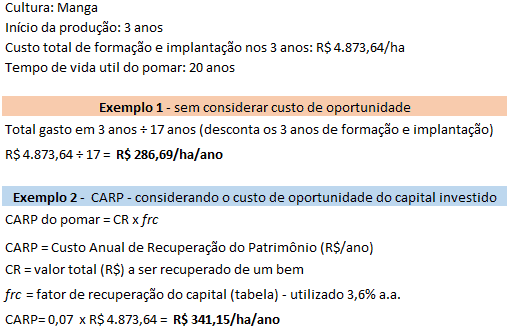 exemplo prático de cálculo de custos para a implantação de um pomar de manga, comparando duas metodolog