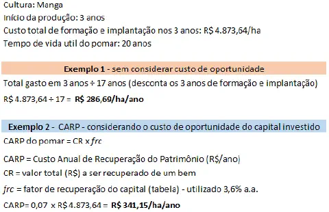 exemplo prático de cálculo de custos para a implantação de um pomar de manga, comparando duas metodolog