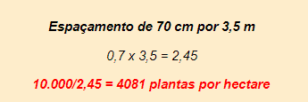 Como Calcular Plantas por Hectare: Exemplo de Espaçamento cálculo matemático para determinar a densidade de plantas por hectare, um conceito fundamental no plane