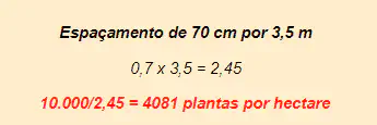 cálculo matemático para determinar a densidade de plantas por hectare, um conceito fundamental no plane