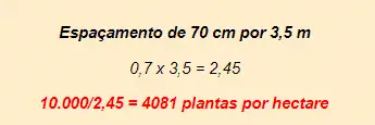 cálculo matemático para determinar a densidade de plantas por hectare, um conceito fundamental no plane