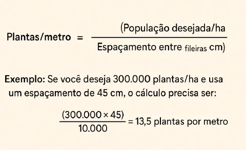 fórmula matemática e um exemplo prático para o cálculo da quantidade de plantas por metro linear em um