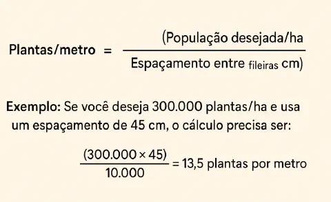 fórmula matemática e um exemplo prático para o cálculo da quantidade de plantas por metro linear em um