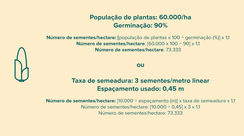 Como Calcular Sementes por Hectare: Fórmulas e Exemplos infográfico educacional que demonstra duas maneiras distintas de calcular o número de sementes necessár