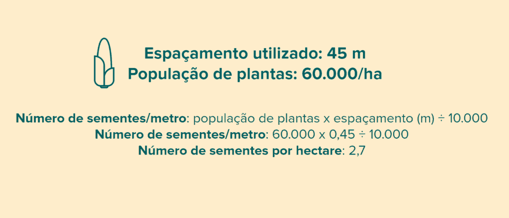 Como Calcular Sementes por Metro para o Plantio: Guia infográfico educacional que demonstra o cálculo para determinar o número de sementes por metro linear em uma la